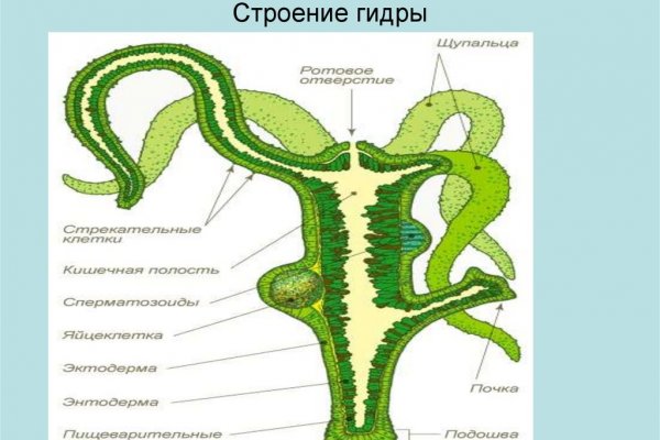 Замена меги сайта